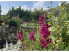 Bild5